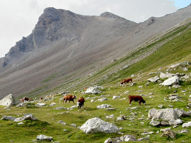 Alpsk idylka