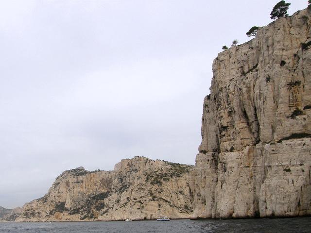 Proda aruje