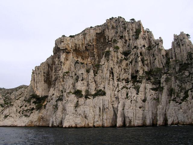 Proda aruje