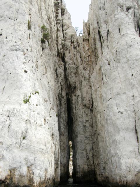 Proda aruje