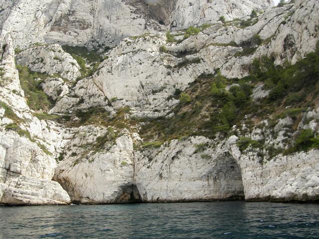 Proda aruje