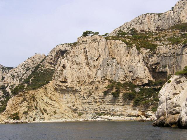 Proda aruje
