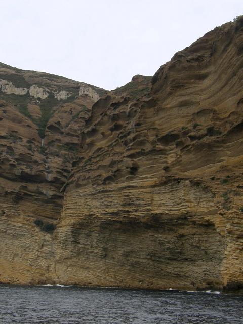 Proda aruje