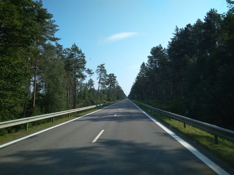 43.jpg